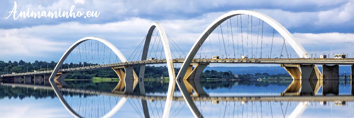 animaminho.eu